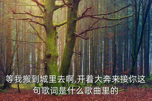 等我搬到城里去啊,开着大奔来接你这句歌词是什么歌曲里的