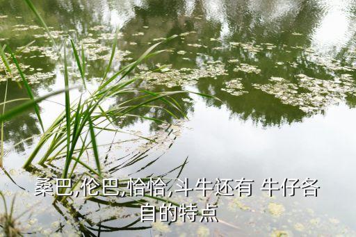 牛仔舞的舞蹈特点,小学生牛仔舞舞蹈视频