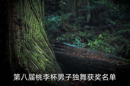 第八届桃李杯男子独舞获奖名单