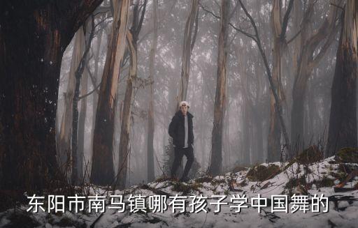 珠海唐家中国舞舞蹈培训班