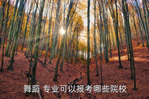  舞蹈 专业可以报考哪些院校
