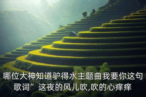 哪位大神知道驴得水主题曲我要你这句歌词”这夜的风儿吹,吹的心痒痒