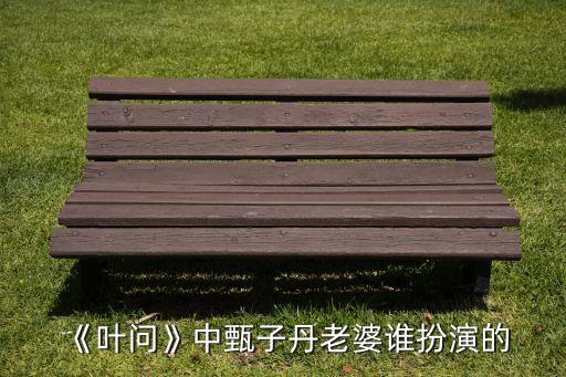 《叶问》中甄子丹老婆谁扮演的