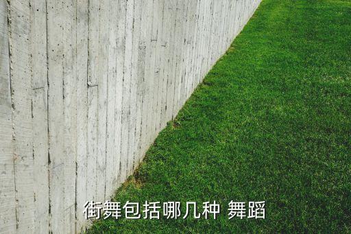 街舞包括哪几种 舞蹈