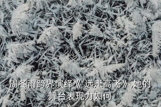 歌曲远走高飞舞蹈视频