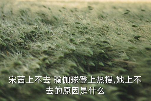 宋茜上不去 瑜伽球登上热搜,她上不去的原因是什么