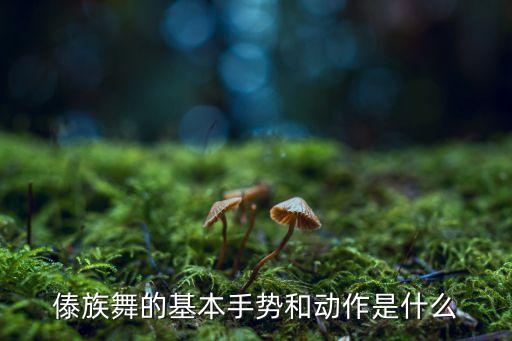 傣族舞的基本手势和动作是什么