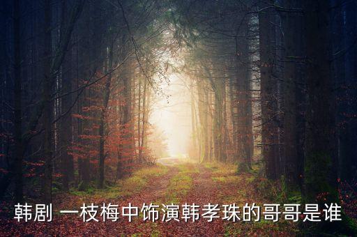 一枝梅舞蹈教学视频,舞蹈一枝梅广场舞