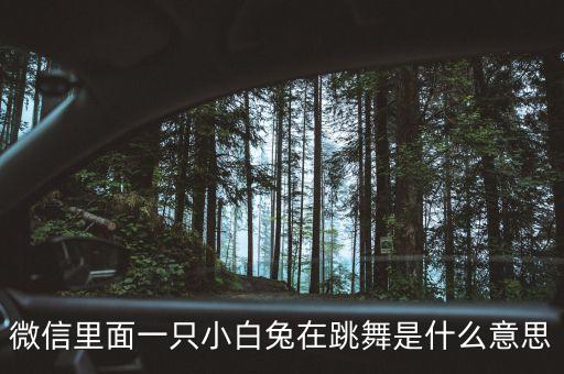 白兔子舞蹈视频,兔子舞蹈视频完整版小学