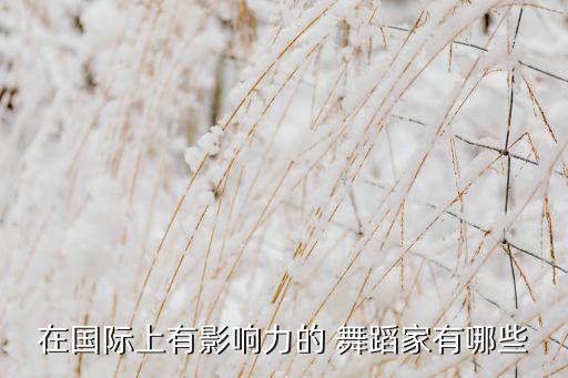 在国际上有影响力的 舞蹈家有哪些