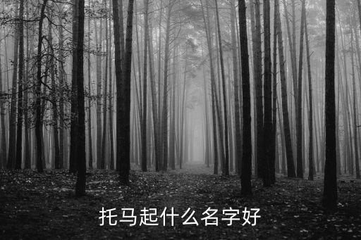 托马起什么名字好