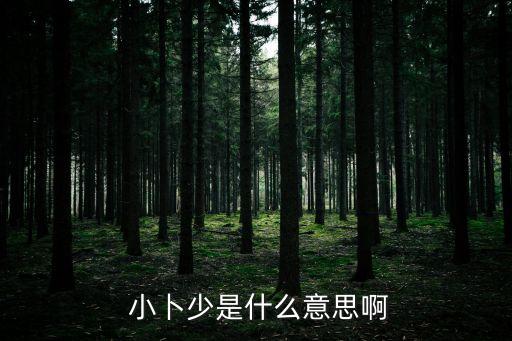  小卜少是什么意思啊