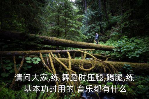 请问大家,练 舞蹈时压腿,踢腿,练 基本功时用的 音乐都有什么
