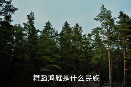 那个远方的舞蹈,远方的爸爸妈妈舞蹈视频
