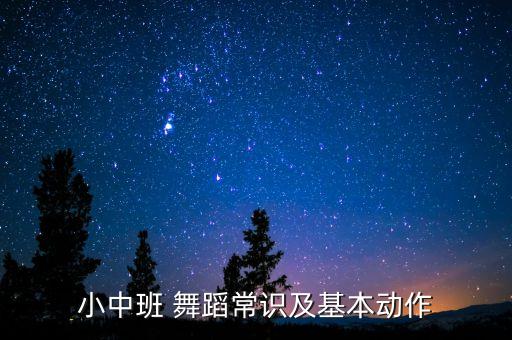 小中班 舞蹈常识及基本动作