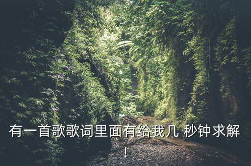 有一首歌歌词里面有给我几 秒钟求解!