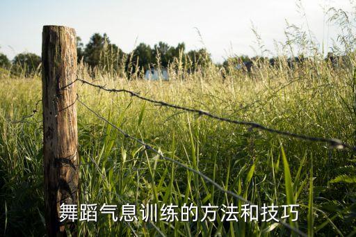 提升呼吸组合舞蹈歌曲,韩国女子组合最火歌曲舞蹈