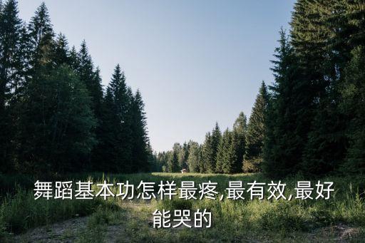  舞蹈基本功怎样最疼,最有效,最好能哭的