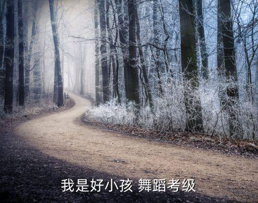 我是好小孩 舞蹈考级