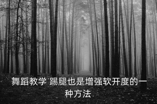  舞蹈教学 踢腿也是增强软开度的一种方法
