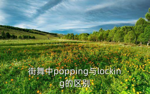 简单锁舞的舞蹈动作,中国舞舞蹈动作名称大全