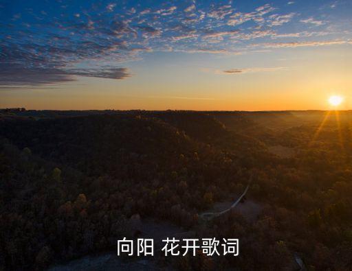 向阳花开舞蹈的开场词,2018向阳花开春晚舞蹈