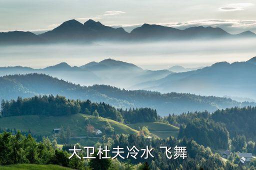 大卫杜夫冷水 飞舞