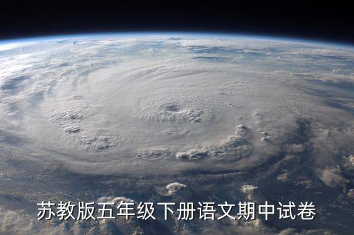 苏教版五年级下册语文期中试卷