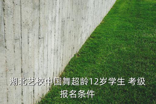 湖北艺校中国舞超龄12岁学生 考级报名条件
