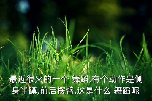 最近很火的一个 舞蹈,有个动作是侧身半蹲,前后摆臂,这是什么 舞蹈呢