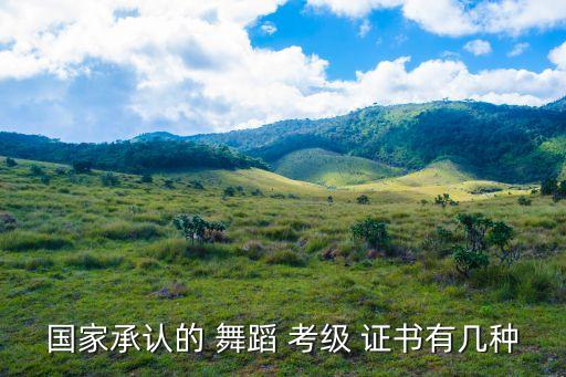 国家承认的 舞蹈 考级 证书有几种