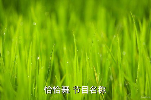一些欣赏舞蹈的节目