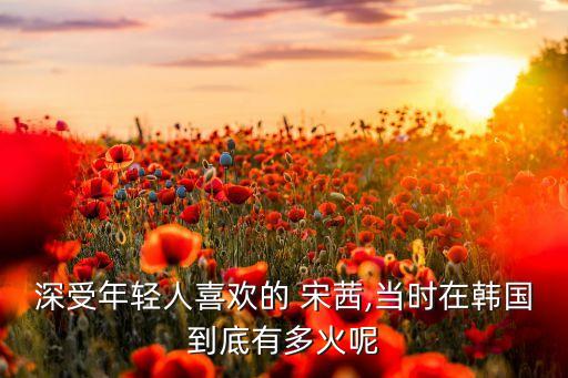 宋茜综艺节目舞蹈,宋茜韩国综艺节目我们结婚了