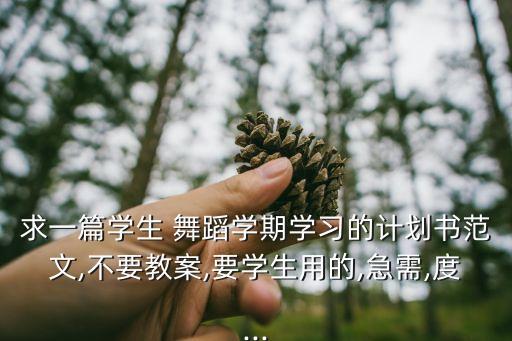求一篇学生 舞蹈学期学习的计划书范文,不要教案,要学生用的,急需,度...