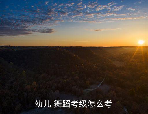 四级舞蹈考试音乐,功夫熊猫四级舞蹈考试视频