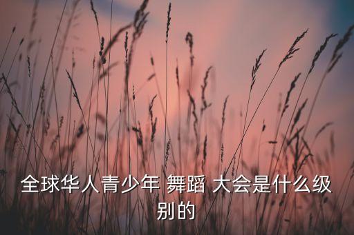 全球华人青少年 舞蹈 大会是什么级别的