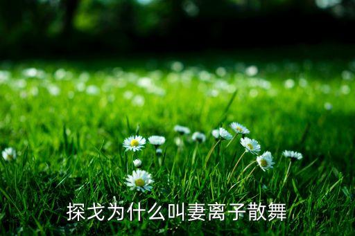 探戈为什么叫妻离子散舞
