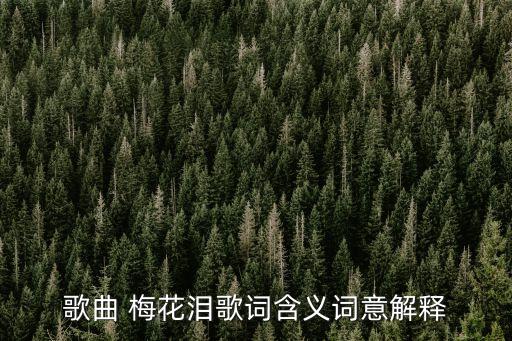 歌曲 梅花泪歌词含义词意解释
