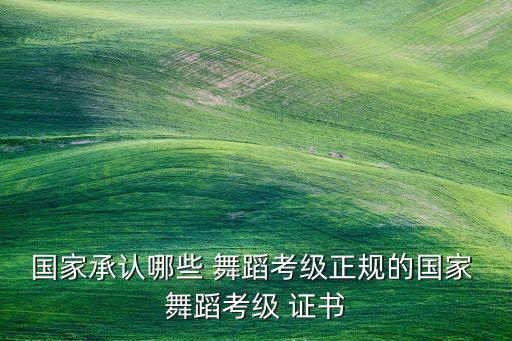 国家承认哪些 舞蹈考级正规的国家 舞蹈考级 证书