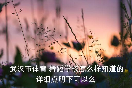  武汉市体育 舞蹈学校怎么样知道的详细点明下可以么