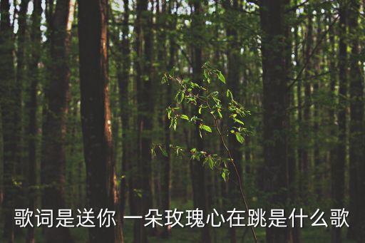 歌词是送你 一朵玫瑰心在跳是什么歌