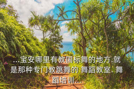 ...宝安哪里有教国标舞的地方.就是那种专门教跳舞的 舞蹈教室. 舞蹈培训...