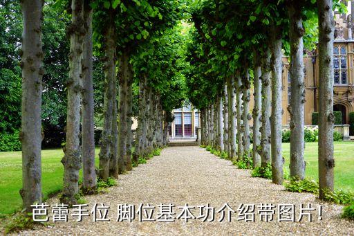 舞蹈的5个脚位,舞蹈基本脚位图片