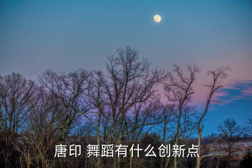 唐印舞蹈心得体会