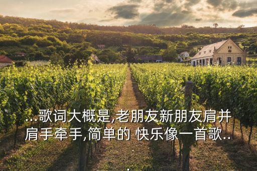 ...歌词大概是,老朋友新朋友肩并肩手牵手,简单的 快乐像一首歌...
