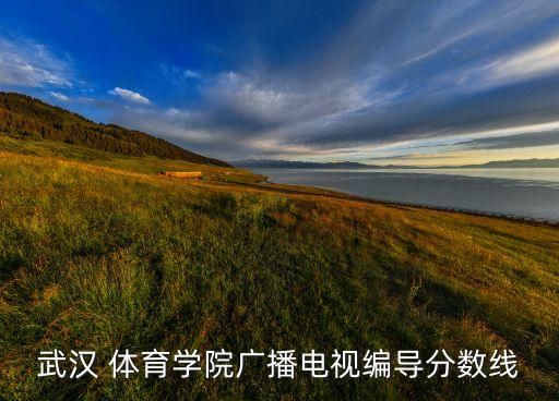 武汉 体育学院广播电视编导分数线