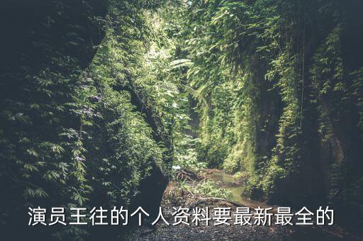 演员王往的个人资料要最新最全的