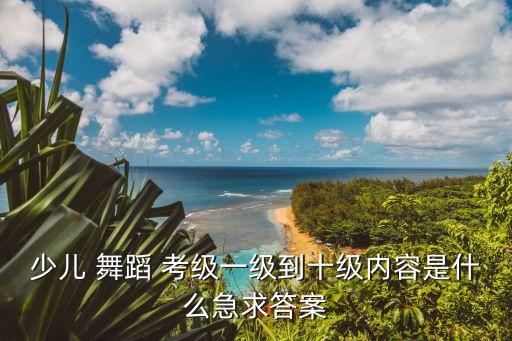 少儿 舞蹈 考级一级到十级内容是什么急求答案