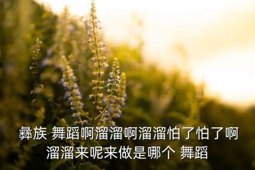 彝族彝族舞蹈视频大全,彝族舞蹈基本八个动作
