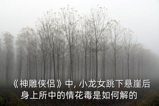 小龙女舞蹈怎么跳,简单的舞蹈怎么跳
